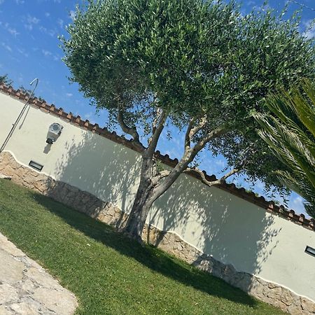 Gold House Luxury Anzio Villa Exteriör bild