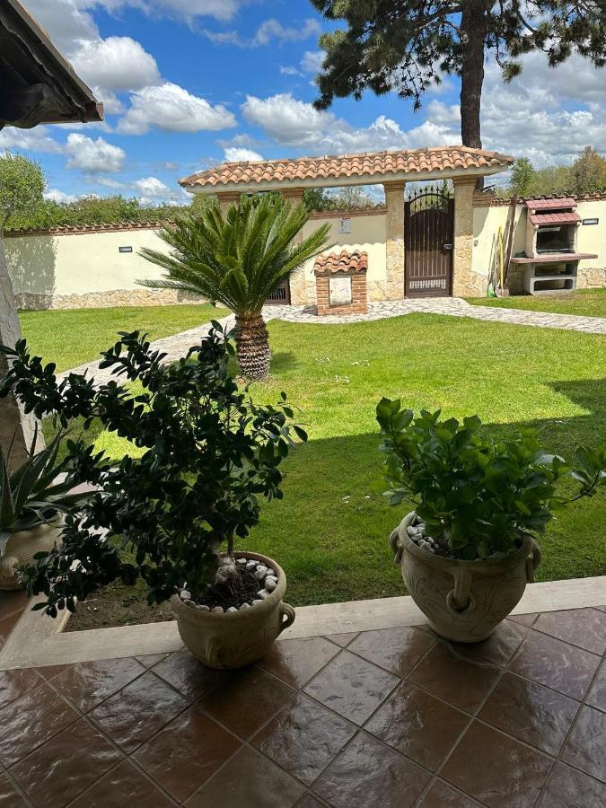 Gold House Luxury Anzio Villa Exteriör bild