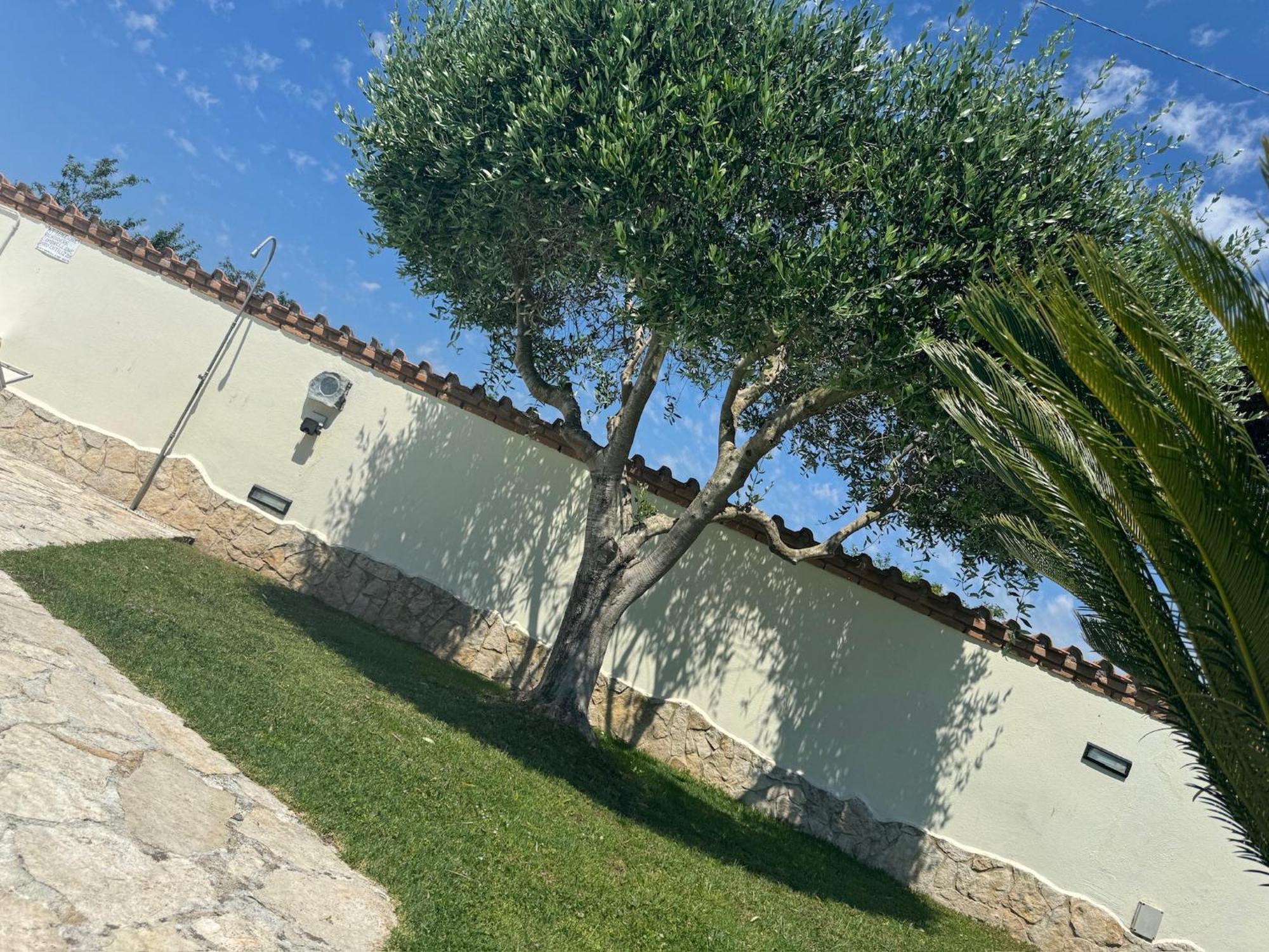 Gold House Luxury Anzio Villa Exteriör bild